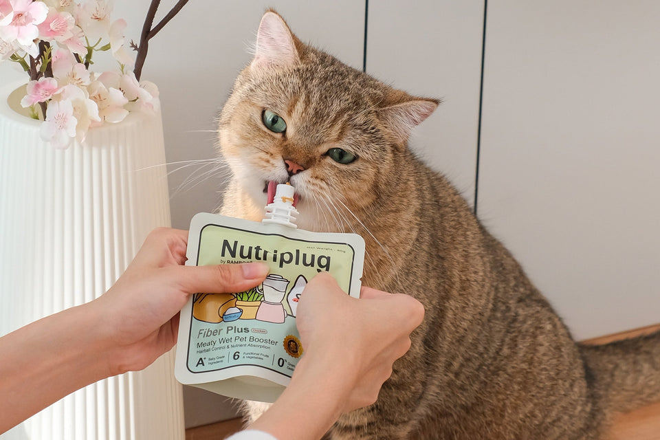 Pet Wet Booster