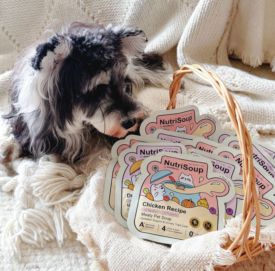 Nutrisoup Meaty Pet Booster