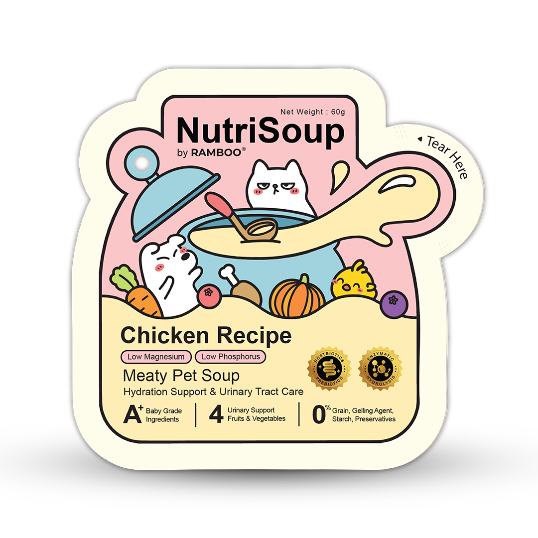 NutriSoup Chicken Recipe Meaty Wet Pet Soup