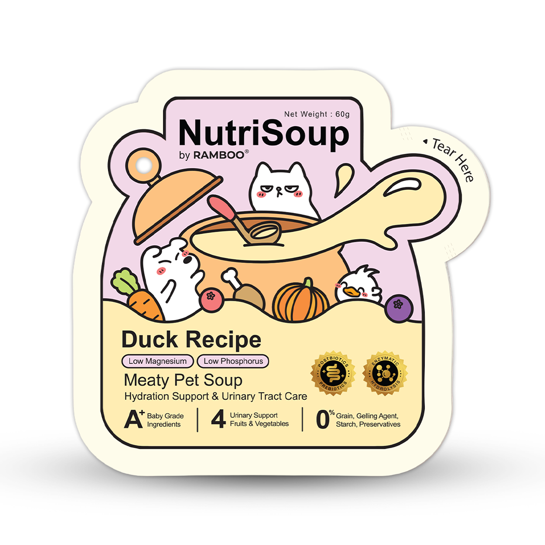 NutriSoup Duck Recipe Meaty Wet Pet Soup